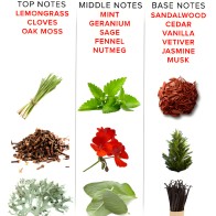 Eol Pheromone Perfume