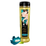 Shunga Sensual Massage Oil 240 ml