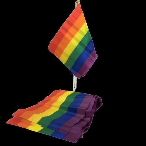 Small LGBT Flag Banner - Pride