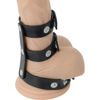 Darkness Anillo Doble Pene Y Testículos Adjustable