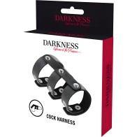 Darkness Anillo Doble Pene Y Testículos Adjustable