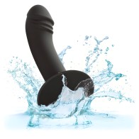 Calexotics Curved Anal Stud