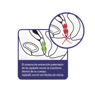 Joydivision Joyballs - Secret Black & Purple Kegel Balls