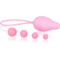 Pelvis Health I 2.0 Pelvic Rehabilitation - Intimichic