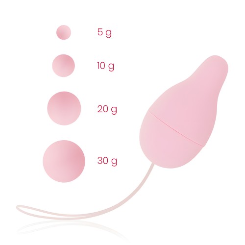 Ohmama Kegel Developer