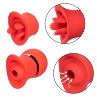 French Kiss Suck & Play Set by Calexotics