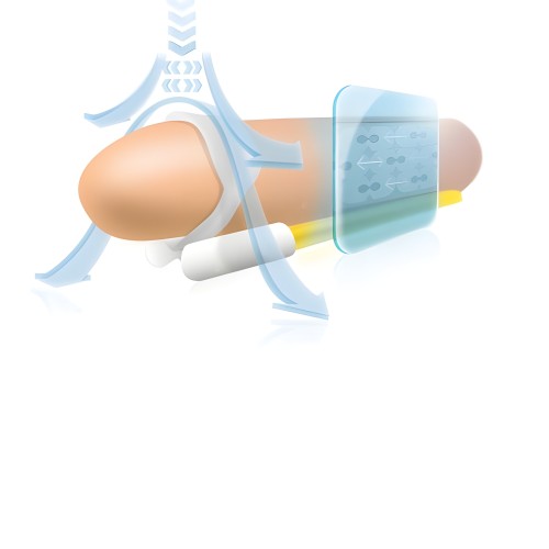 Andropenis Mini Penis Extender