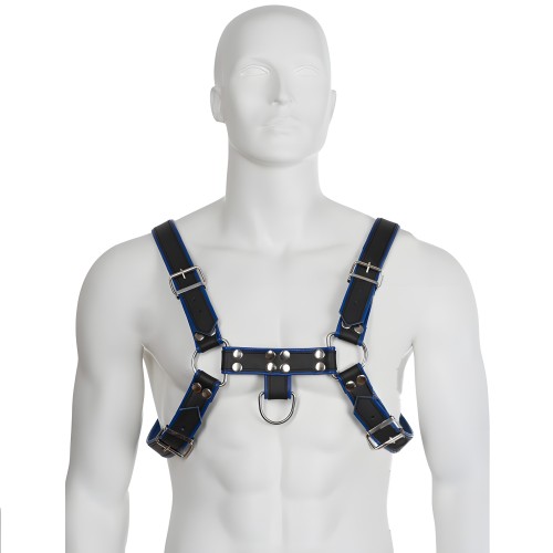 Arnés Cuero Azul Y Negro Chest Bulldog Leather Body