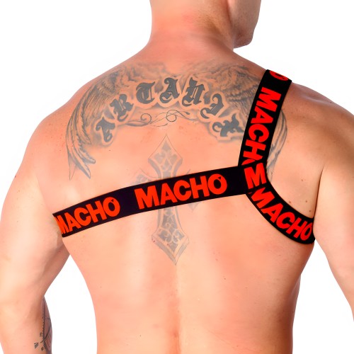 Macho - Arnés Romano