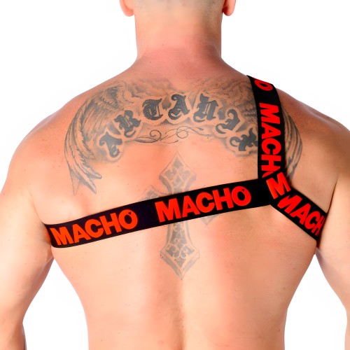Macho Harness Red