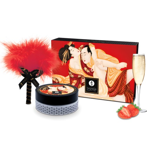 Shunga Edible Massage Powder Kit