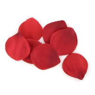 Extase Sensual Red Temptation Gift Set