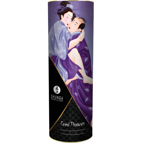 Shunga Carnal Pleasures Collection