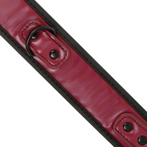 Collar Con Cadena Forrado De Neopreno | Fetish Submissive