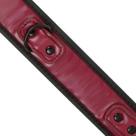 Neoprene Lined Collar with Chain | Fetish Submissive