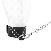 Kink - Collar Con Correa 65 Cm