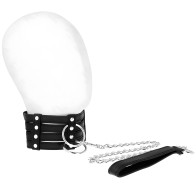 Collar Kink Con Correa - Control Estiloso