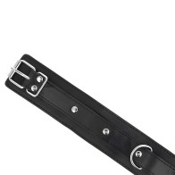 Kink Collar With Leash