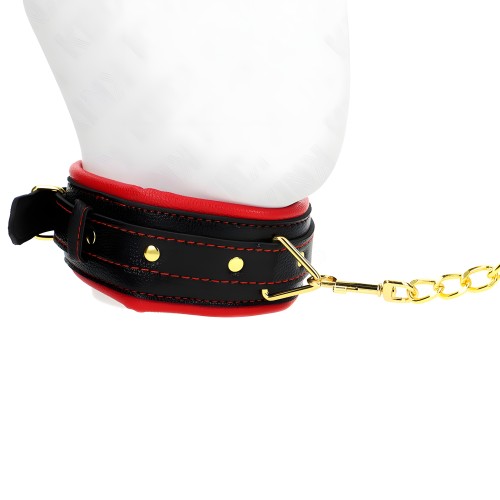 Collar Con Correa Esponja Imitación Cuero Modelo 2