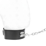 Kink Basic Collar and Leash