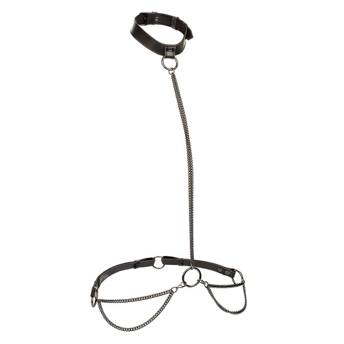 Calexotics Collar Halter Y Correa Euphoria Con Cadena