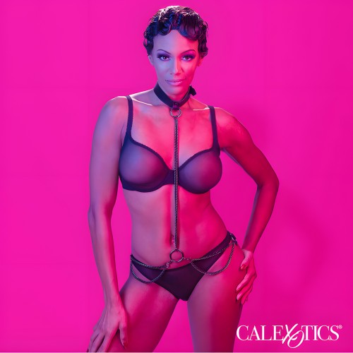 Calexotics Collar Halter Y Correa Euphoria Con Cadena