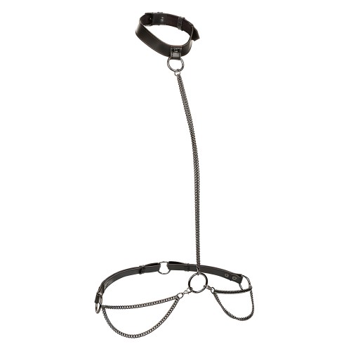 Calexotics Euphoria Plus Size Halter Collar & Leash