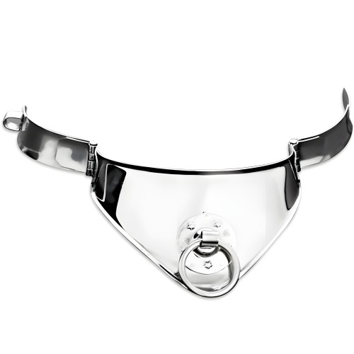 Metal Hard Slave Collar with Lock