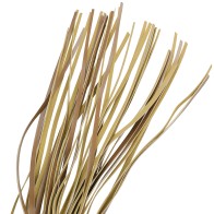 Fetish Submissive Origin Látigo Cuero Vegano