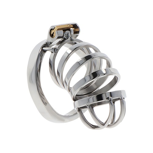 Extreme Metal Chastity Cage by Hidden Desire