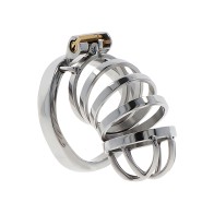 Extreme Metal Chastity Cage by Hidden Desire