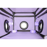 Kink Club La Niche Cabina Morado