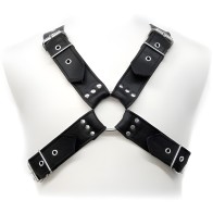 - Buckles Harness