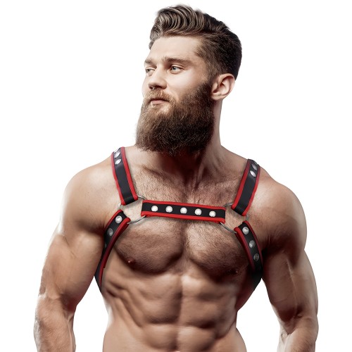 Fetish Bulldog Chest Harness