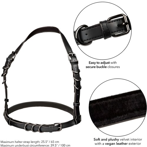 Calexotics Euphoria Halter Harness