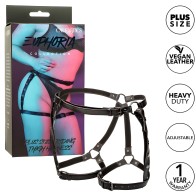 Calexotics Euphoria Thigh Harness