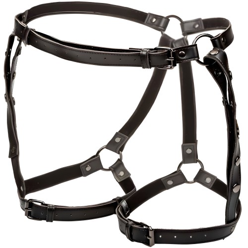 Calexotics Euphoria Thigh Harness