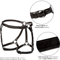 Calexotics Euphoria Thigh Harness