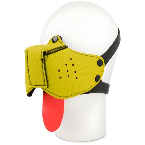 - Bozal Perro Amarillo