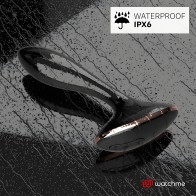 Control Remoto Vibrador Plug Anal Vernet Anbiguo