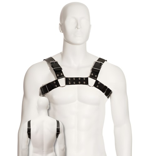 Leather Body Black Bull Dog Harness