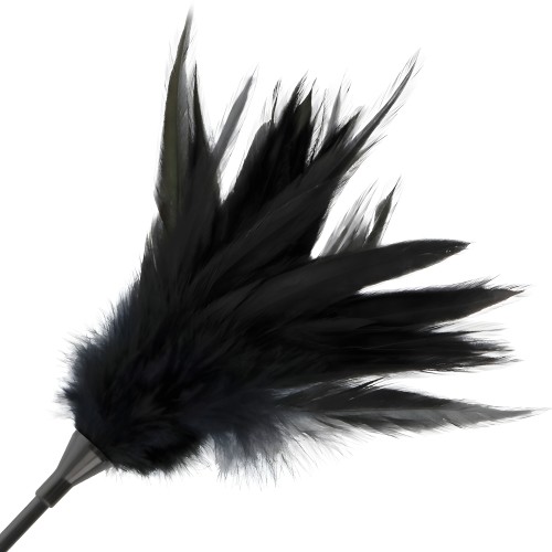 Black Feather Whip - Darkness Sensations