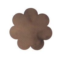 Bye-bra Breast Lifters + Satin Brown Sets