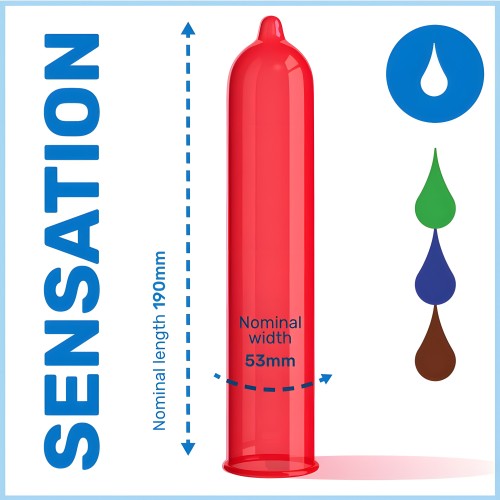 Pasante Eco Pack Flavored Condoms - 288 Units