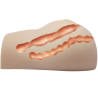 Realistic Vagina and Anus with Vibration