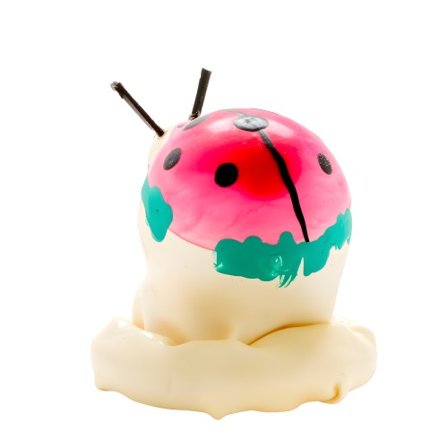 Hand-Painted Ladybug Condom