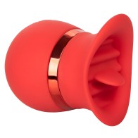 - French Kiss Sweet Talker