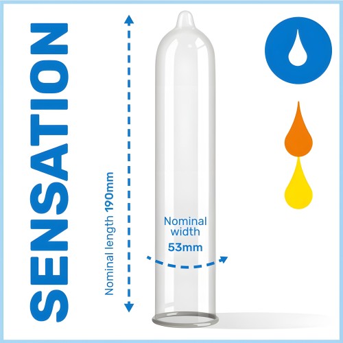 Pasante Tropical Flavored Condoms - 144 Pack