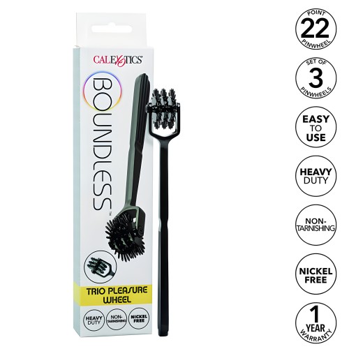 - Boundless Rueda De Placer Trio