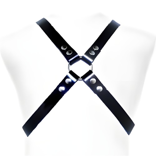 Basic Harness - Leather Body